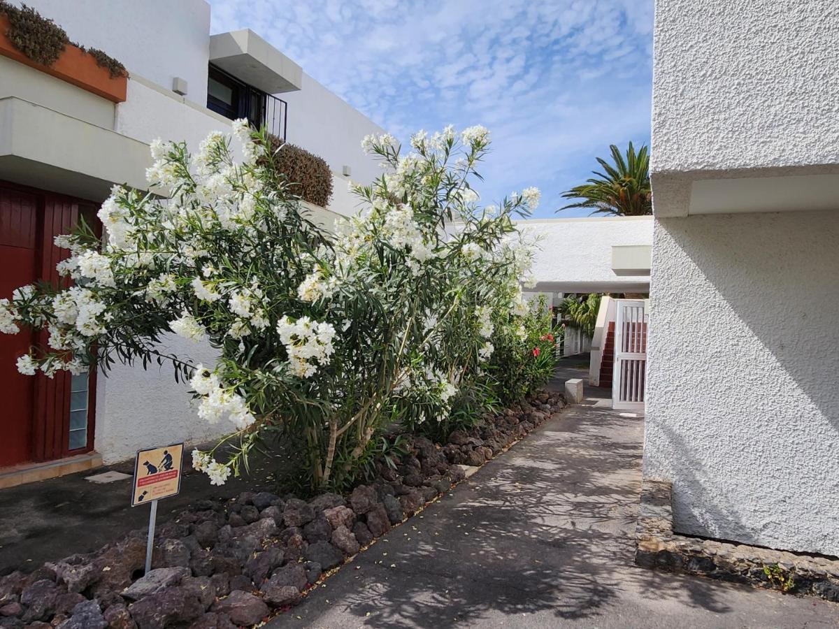 Casa De Mariposas Lägenhet Costa Del Silencio Exteriör bild